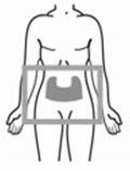 body-abdomen