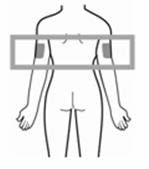 body-arms
