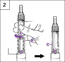 gntrpn12_step2_po